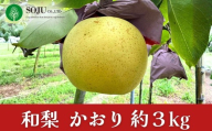 和梨 かおり 約3kg 令和8年度 日本梨 新潟県 三条市産 [三条果樹専門家集団]【010S969】
