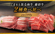 くまもと黒毛和牛 [ 藤彩牛 ] 2種食べ比べ ( バラ焼肉用 ・ ローススライス ) 計約500g 牛肉 お肉 肉 ニク にく 牛 和牛 カルビ ロース スライス バーベキュー BBQ おかず おつまみ 晩酌 酒の肴 詰め合わせ セット 国産 熊本県産 冷凍