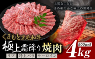 黒毛和牛 極上霜降り リブ サーロイン 特上バラ 焼肉 4kg《7-14日以内に発送(土日祝除く)》熊本県 氷川町 牛 牛肉 和牛 ブランド牛