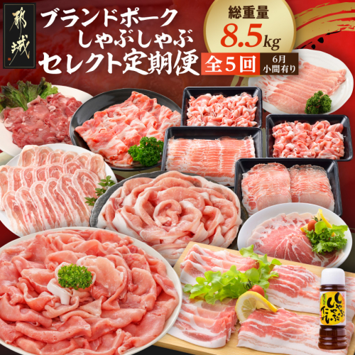 【☆セレクト定期便☆】ブランドポーク☆しゃぶしゃぶ・6月小間有り☆定期便(5ヶ月)≪2027年お届け≫〔T63-5-S009〕 2802176 - 宮崎県都城市