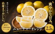 ＜訳あり 愛媛県産ニューサマーオレンジ 合計約2.5kg＞『2027年4月中旬～5月下旬迄に順次出荷予定』 日向夏 小夏 甘い ご家庭用 果汁 果物 くだもの フルーツ みかん オレンジ 柑橘 人気柑橘 特産品 株式会社OSN 愛媛県 西予市 【常温】