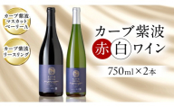 カーブ紫波 赤白 ワイン 2本セット 【カーブ紫波マスカットベーリーＡ・カーブ紫波リースリング】 赤ワイン 白ワイン