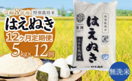 【令和8年産 新米】 特別栽培米はえぬき 無洗米 5kg (5kg×1袋)×12ヶ月【定期便】　鶴岡協同ファーム