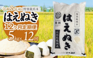 【令和8年産 新米】 特別栽培米はえぬき 精米 5kg (5kg×1袋)×12ヶ月【定期便】　鶴岡協同ファーム