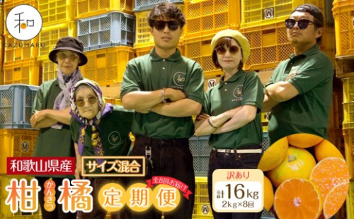 ［定期便］森本農園の手選別 訳あり柑橘定期便 約2kg サイズ混合 和歌山県産 ［北海道・沖縄・離島配送不可］［2026年10月～2027年5月まで全8回お届け］ ［RN170］ 2802259 - 和歌山県那智勝浦町