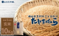 G3-11旧山古志村のこしひかり「たねすはら米」玄米10kg（新潟県産コシヒカリ）