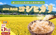 【新米 R8年産】コシヒカリ 玄米 5kg(5kg×1袋) 新米 | コシヒカリ こしひかり 餅 醤油 塩 ふりかけ 卵 新米 コシヒカリ こしひかり 常温 送料無料 岐阜県 山県市 美山 ヤマガタ農産  ※2026年11月～発送