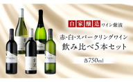 自園自醸ワイン紫波 赤・白・スパークリングワイン 飲み比べ 5本セット ワイン 辛口 日本ワイン 国産ワイン 赤 白 スパークリング わいん 酒 自園自醸ワイン紫波 ぶどう 葡萄 ブドウ 国産 5本 (AL117)