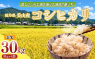 【新米 R8年産】コシヒカリ 玄米  30kg(5kg×6袋) 新米 | コシヒカリ こしひかり 餅 醤油 塩 ふりかけ 卵 新米 コシヒカリ こしひかり 常温 送料無料 岐阜県 山県市 美山 ヤマガタ農産 ※2026年11月～発送