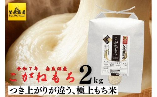【令和７年産】南魚沼産 笠原農園米 こがねもち（もち米） 2kg 【銘柄米 精米 こがねもち 魚沼産 南魚沼産 プレミアム 新潟米 新潟県産 高評価 高品質 国産米 産直 ご飯 御飯 ごはん】 2802455 - 新潟県南魚沼市