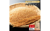 福井県産 ハナエチゼン 玄米 20kg（20kg×1）＜令和8年産＞【新米 米 コメ お米 ご飯 飯 華越前 ブランド米 国産】[095-a227]