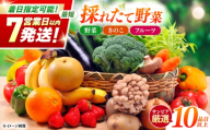 ＜最短7営業日以内発送！＞採れたて野菜 お楽しみ便 （ 野菜 果物 きのこ 10品目以上 ） 野菜 フルーツ やさい 野菜セット 旬 / 南島原市 / サンピア [SHB001]
