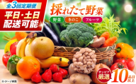 【3回定期便】＜配送時期が選べる＞採れたて野菜 お楽しみ便 （ 野菜 果物 きのこ 10品目以上 ） 野菜 フルーツ やさい 野菜セット 野菜定期便 旬 定期便 毎月 / 南島原市 / サンピア [SHB002]