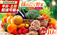 【6回定期便】＜配送時期が選べる＞採れたて野菜 お楽しみ便 （ 野菜 果物 きのこ 10品目以上 ） 野菜 フルーツ やさい 野菜セット 野菜定期便 旬 定期便 毎月 / 南島原市 / サンピア [SHB003]