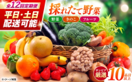 【12回定期便】＜配送時期が選べる＞採れたて野菜 お楽しみ便 （ 野菜 果物 きのこ 10品目以上 ） 野菜 フルーツ やさい 野菜セット 野菜定期便 旬 定期便 毎月 / 南島原市 / サンピア [SHB004]
