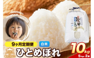 令和8年産 新米受付《定期便9ヶ月》ひとめぼれ 10kg（5kg×2）【白米】秋田県産 [ひとめぼれ お米 精米 小分け 定期便 5kg袋]