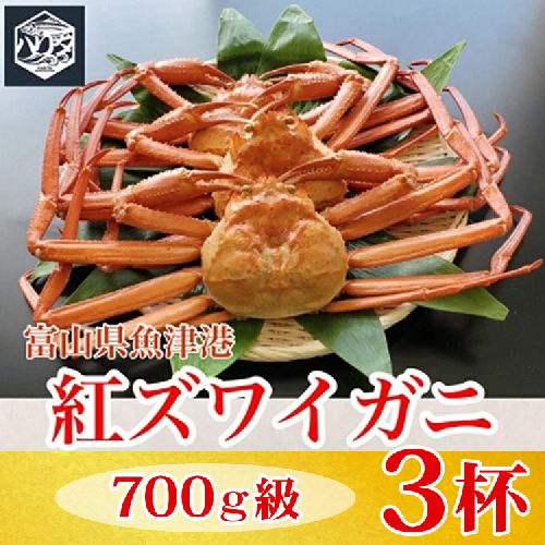 【冷蔵】自社漁船直送！魚卸問屋の紅ズワイガニ 700g級×3ハイセット ※2026年9月～発送 2804500 - 富山県魚津市