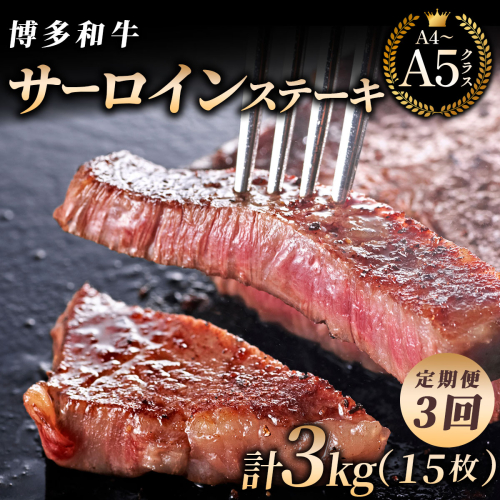 ＜3回定期便＞【博多和牛】サーロイン ステーキ 200g×5枚｜牛肉 久田精肉店 黒毛和牛 ステーキ 冷凍【HD032】 2804568 - 福岡県篠栗町