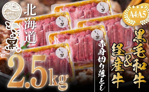 訳あり 北海道産 黒毛和牛 こぶ黒 赤身 切り落とし 2.5kg ( 500g × 5パック ) 【 LC 】 黒毛和牛 和牛 牛肉 経産牛 2804608 - 北海道新ひだか町