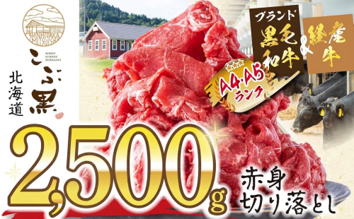 訳あり 北海道産 黒毛和牛 こぶ黒 赤身 切り落とし 2.5kg ( 500g × 5パック ) 黒毛和牛 和牛 牛肉 経産牛 2804610 - 北海道新ひだか町