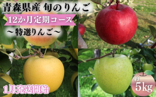 【2027年1月発送開始】青森県産 りんご 12ヶ月定期便 約5kg 特選 1年間品種リレー 食べ比べセット 毎月配送 青森りんご 林檎 フルーツ 平川市 2804611 - 青森県平川市
