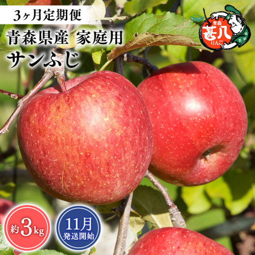 【2026年11月発送開始】青森県産 サンふじ りんご 家庭用 約3kg 3ヶ月定期便 青森りんご 林檎 フルーツ 平川市【hi-0058-166】 2804617 - 青森県平川市