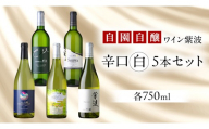 自園自醸ワイン紫波 辛口 白ワイン 5本セット ワイン 日本ワイン 国産ワイン 白 セット 飲み比べ わいん 酒 自園自醸ワイン紫波 辛口 さけ ぶどう 葡萄 ブドウ 5本 国産 プレゼント おすすめ (AL113)
