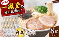 ラー麦使用「一風堂」とんこつラーメン 白丸 (8食)《築上町》【吉浦コーポレーション】 とんこつラーメン 豚骨ラーメン 博多ラーメン お取り寄せ [ABFF010]