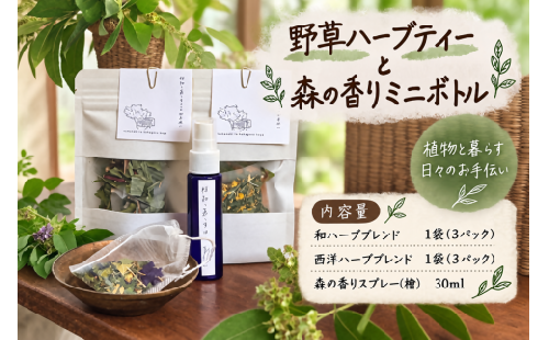 野草ハーブティーと森の香りミニボトル　　ハーブティー　ハーブ　野草　檜　植物　FRT-01 2804751 - 三重県多気町