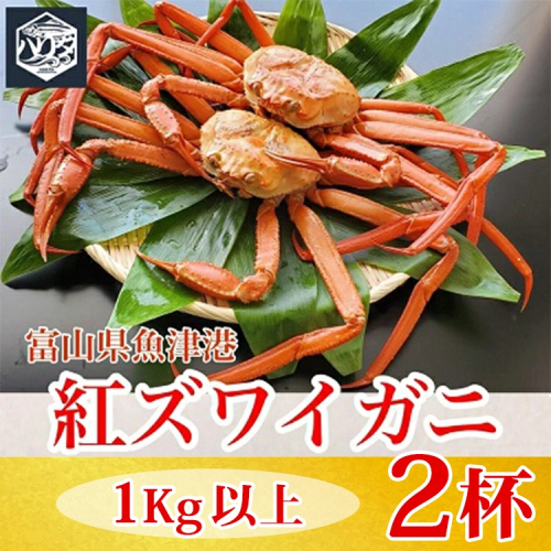 【冷蔵】自社漁船直送！魚卸問屋の紅ズワイガニ 1kg以上×2ハイセット ※2026年9月～発送 2804753 - 富山県魚津市