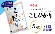 【定期便6ヶ月】西条産のお米「コシヒカリ」（5kg） 令和5年産
