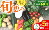 【先行予約】【2026年12月以降発送開始】【旬の野菜セットSサイズ 野菜5品目】島根県松江市/須山農園 [ALBD007]セット 産地直送 詰め合わせ 旬の野菜 旬野菜 野菜詰め合わせ 国産野菜 新鮮野菜 オーガニック野菜 食品 健康志向 ヘルシー 季節野菜