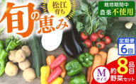 【野菜 定期便】こだわりの新鮮野菜 6回定期便 8品程度 お任せ 野菜 やさい 青果 朝採れ 新鮮 旬の野菜 ヤサイ ﾔｻｲ 季節の野菜 詰め合わせ セット 須山農園 島根県 松江市 詰め合わせ 定期便 [ALBD009]