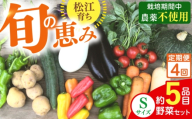 【野菜 定期便】こだわりの新鮮野菜 4回定期便 8品程度 Sサイズ 野菜 やさい 青果 朝採れ 新鮮 旬の野菜 ヤサイ ﾔｻｲ 季節の野菜 詰め合わせ セット 須山農園 島根県 松江市 詰め合わせ 定期便[ALBD011]