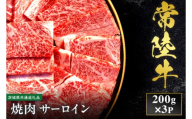【先行予約】【2027年1月以降より順次発送】【和牛セレブ】常陸牛 焼肉 サーロイン 200g×3P【茨城県共通返礼品】 │ 黒毛和牛 国産 冷凍 牛肉 茨城県 取手市（CM002）