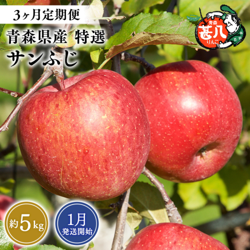 【2027年1月発送開始】青森県産 サンふじ りんご 特選 約5kg 3ヶ月定期便 青森りんご 林檎 フルーツ 平川市【hi-0058-180】 2805256 - 青森県平川市