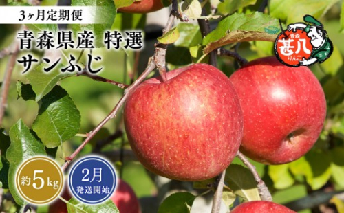 【2027年2月発送開始】青森県産 サンふじ りんご 特選 約5kg 3ヶ月定期便 青森りんご 林檎 フルーツ 平川市【hi-0058-181】 2805257 - 青森県平川市