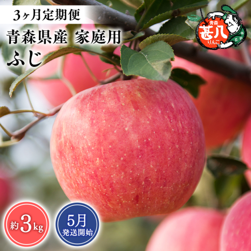 【2027年5月発送開始】青森県産 ふじ りんご 家庭用 約3kg 3ヶ月定期便 青森りんご 林檎 フルーツ 平川市【hi-0058-182】 2805258 - 青森県平川市