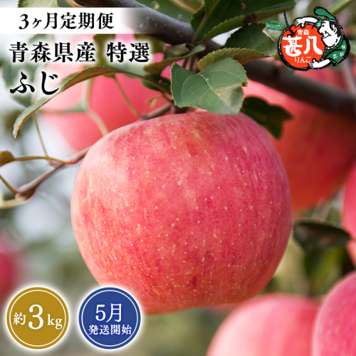 【2027年5月発送開始】青森県産 ふじ りんご 特選 約3kg 3ヶ月定期便 青森りんご 林檎 フルーツ 平川市【hi-0058-184】 2805264 - 青森県平川市