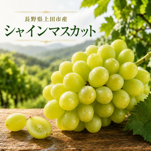 シャインマスカット約1kg 2805267 - 長野県上田市