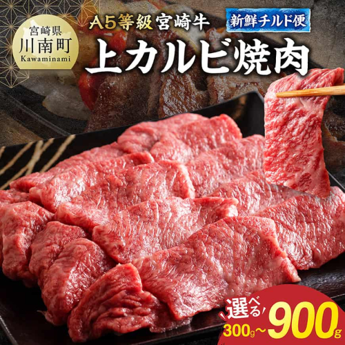 ※グラムが選べる※【A5等級】【新鮮チルド便】宮崎牛上カルビ焼肉 【 肉 宮崎 焼肉 牛肉 おかず A5 】 2805276 - 宮崎県川南町