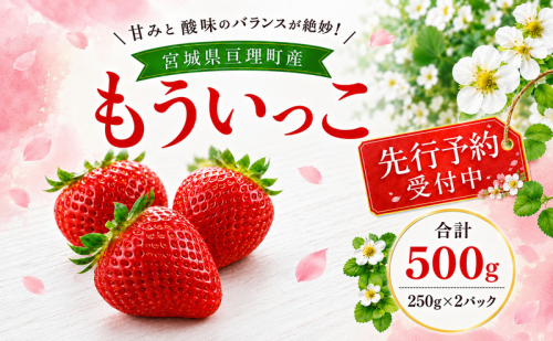 いちご イチゴ 苺 先行予約 1月発送 家庭用 もういっこ 宮城県亘理町産 500g 250g×2パック 小分け 冷蔵配送 国産 フルーツ 返礼品 2806390 - 宮城県亘理町