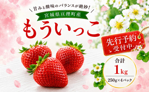 いちご イチゴ 苺 先行予約 1月発送 家庭用 もういっこ 宮城県亘理町産 1kg 250g×4パック 小分け 冷蔵配送 国産 フルーツ 返礼品 2806391 - 宮城県亘理町