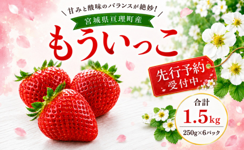 いちご イチゴ 苺 先行予約 1月発送 家庭用 もういっこ 宮城県亘理町産 1.5kg 250g×6パック 小分け 冷蔵配送 国産 フルーツ 返礼品 2806392 - 宮城県亘理町