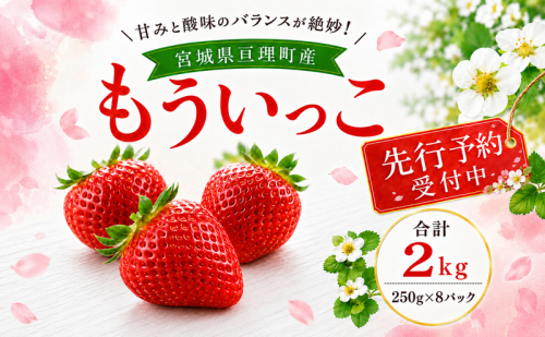 いちご イチゴ 苺 先行予約 1月発送 家庭用 もういっこ 宮城県亘理町産 2kg 250g×8パック 小分け 冷蔵配送 国産 フルーツ 返礼品 2806393 - 宮城県亘理町