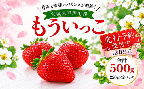いちご イチゴ 苺 先行予約 12月発送 家庭用 もういっこ 宮城県亘理町産 500g 250g×2パック 小分け 冷蔵配送 国産 フルーツ 返礼品 2806394 - 宮城県亘理町