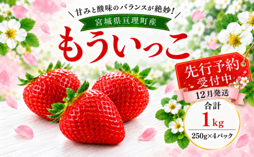 いちご イチゴ 苺 先行予約 12月発送 家庭用 もういっこ 宮城県亘理町産 1000g 250g×4パック 小分け 冷蔵配送 国産 フルーツ 返礼品 2806395 - 宮城県亘理町