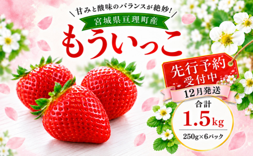 いちご イチゴ 苺 先行予約 12月発送 家庭用 もういっこ 宮城県亘理町産 1500g 250g×6パック 小分け 冷蔵配送 国産 フルーツ 返礼品 2806396 - 宮城県亘理町