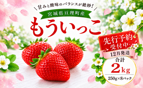 いちご イチゴ 苺 先行予約 12月発送 家庭用 もういっこ 宮城県亘理町産 2000g 250g×8パック 小分け 冷蔵配送 国産 フルーツ 返礼品 2806397 - 宮城県亘理町