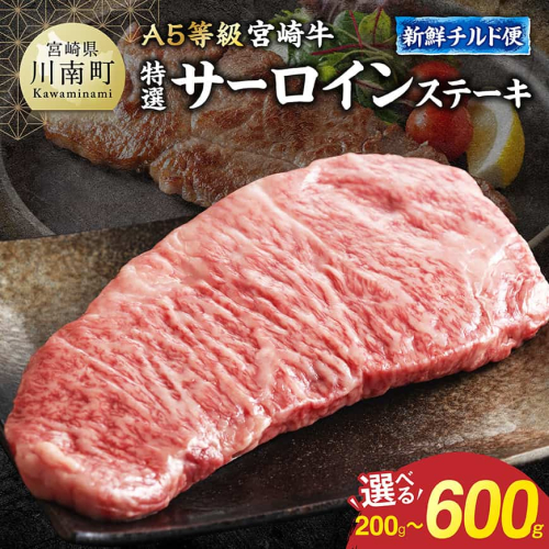 ※グラムが選べる※【A5等級】【新鮮チルド便】宮崎牛特選サーロインステーキ 【 肉 宮崎 ステーキ 牛肉 おかず A5 】 2806403 - 宮崎県川南町